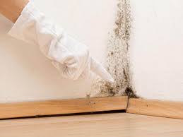 Best Commercial Mold Inspection in Granite Falls, WA